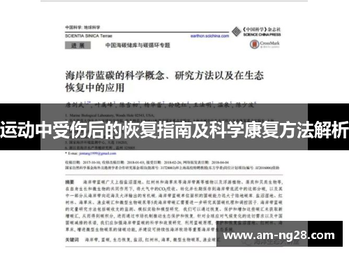 运动中受伤后的恢复指南及科学康复方法解析