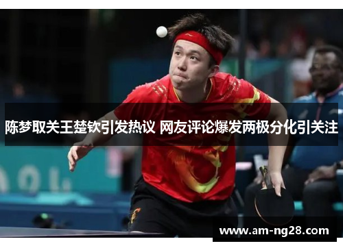 陈梦取关王楚钦引发热议 网友评论爆发两极分化引关注 陈梦取关王楚钦引发热议 网友评论爆发两极分化引关注