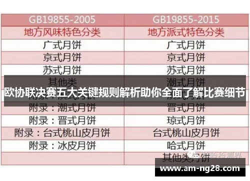 欧协联决赛五大关键规则解析助你全面了解比赛细节