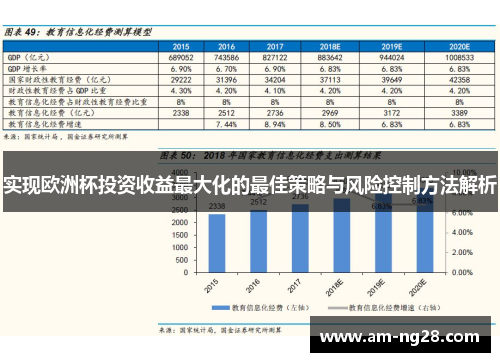 实现欧洲杯投资收益最大化的最佳策略与风险控制方法解析