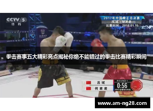 拳击赛事五大精彩亮点揭秘你绝不能错过的拳击比赛精彩瞬间