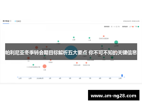 帕利尼亚冬季转会期目标解析五大要点 你不可不知的关键信息