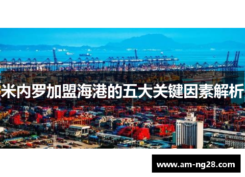 米内罗加盟海港的五大关键因素解析