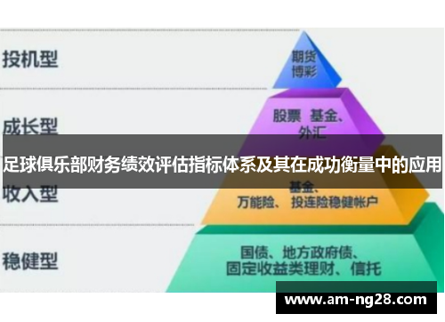 足球俱乐部财务绩效评估指标体系及其在成功衡量中的应用