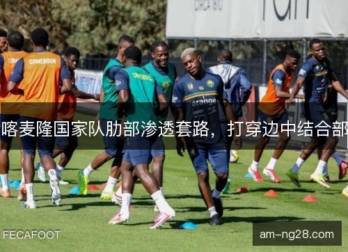 喀麦隆国家队肋部渗透套路，打穿边中结合部